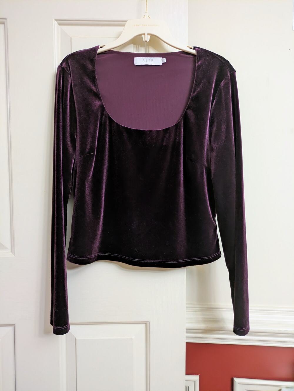 ASTR The Label - Luxe Purple Eggplant Velvet Scoop Neck LS Lined Crop Top - XL